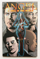 Angel A Hole In The World Tipton Casagrande NEW IDW Graphic Novel Comic Book