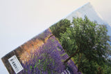 Living In Provences S&D HC Taschen Prose Novel Photography Art Book - Good