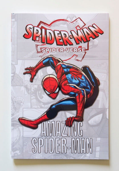 Spider-Man Spider-Verse Amazing Spider-Man Marvel Graphic Novel Comic Book - Very Good