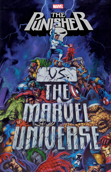 PUNISHER VS THE MARVEL UNIVERSE TPB Marvel Comics