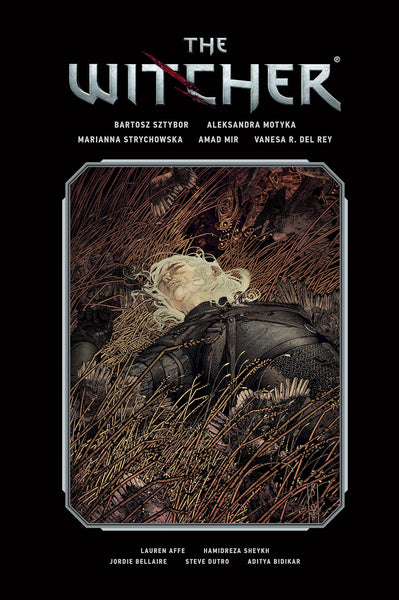 The Witcher Library Edition Volume 2 HC Dark Horse Books - Very Good