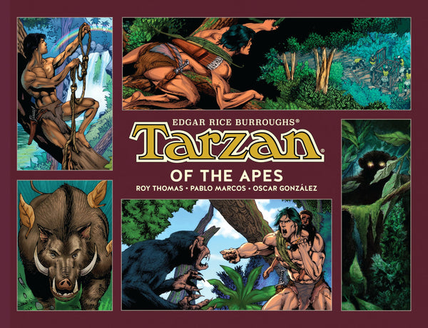 Tarzan of the Apes HC Dark Horse Books - Very Good