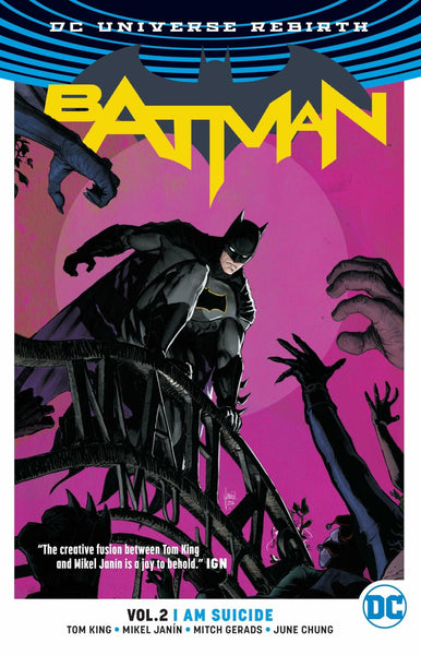 Batman Volume 2 I Am Suicide Rebirth TPB DC Comics - Very Good