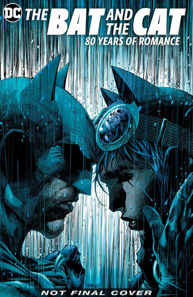 Bat And The Cat 80 Years Of Romance HC DC COMICS - Very Good