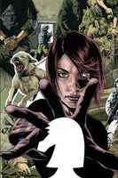 Checkmate By Greg Rucka Vol 01 TPB DC COMICS - Very Good